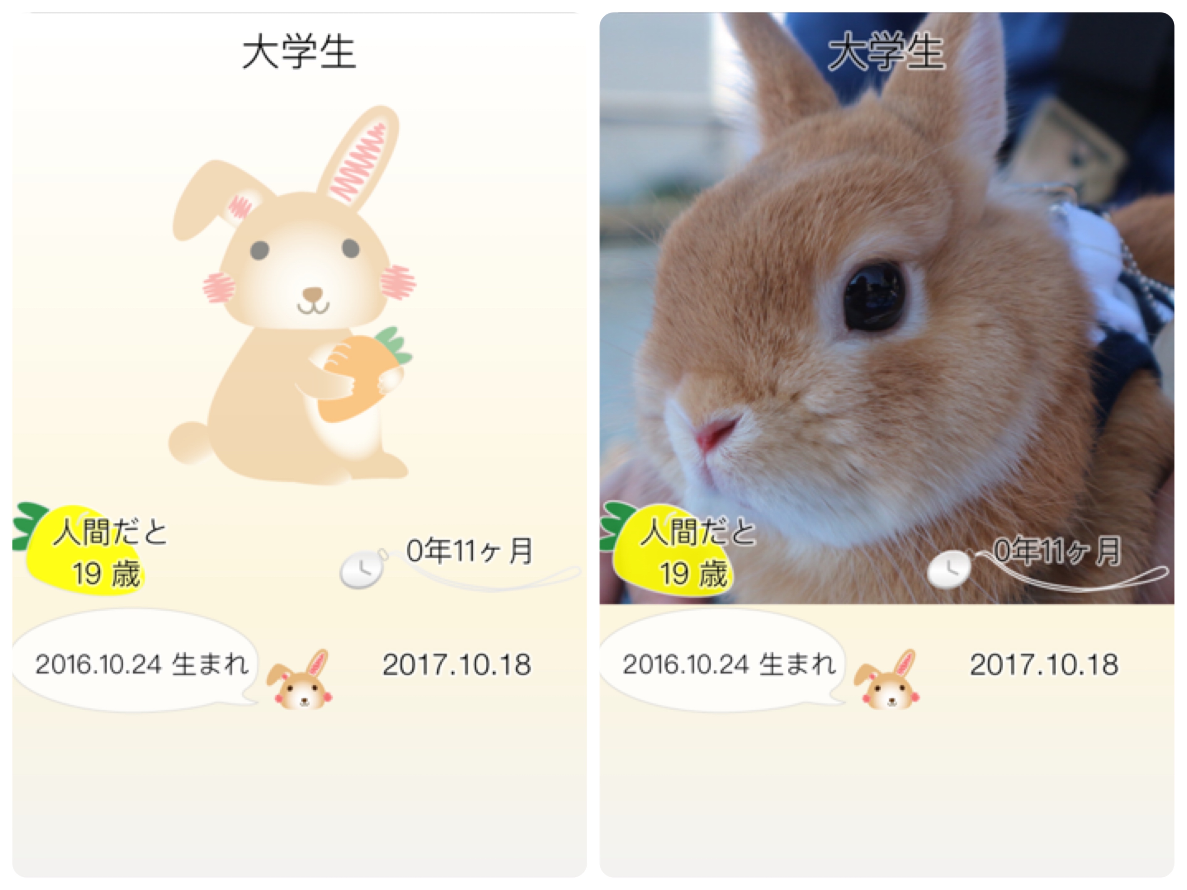 うさぎの年齢計算アプリ ウサギいくつ ぴーたーぽん Com
